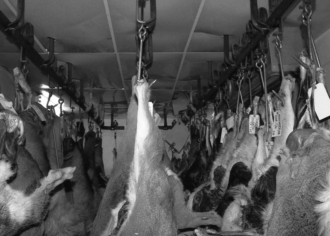 How To Keep Wild Game Meat Clean In The Field how-to-keep-wild-game-meat-clean-in-the-field