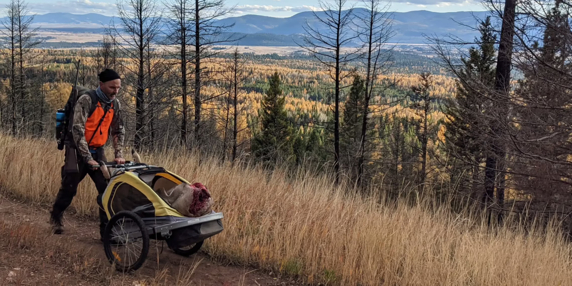 A hunter uses a game cart to efficiently extract field-dressed wild game meat from the mountains, crucial for maintaining meat quality.