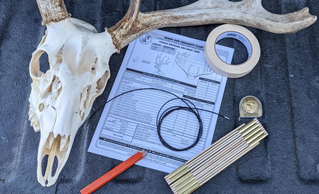 How to Score a Deer: The Antler Scoring System