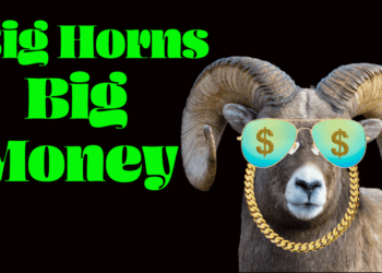 Montana Governor's Sheep Tag