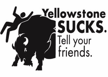 Yellowstone National Park Bison Attack
