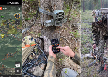 Hunter checking elk rubs in the field while marking locations on onX Hunt app.