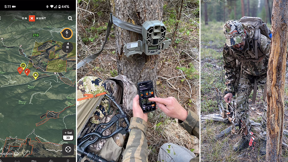Hunter checking elk rubs in the field while marking locations on onX Hunt app.